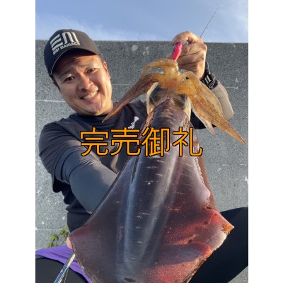 画像11: WILDCHASE 3.5号シャローtune /ピンクロビン[監修:藤本 奈浦子]