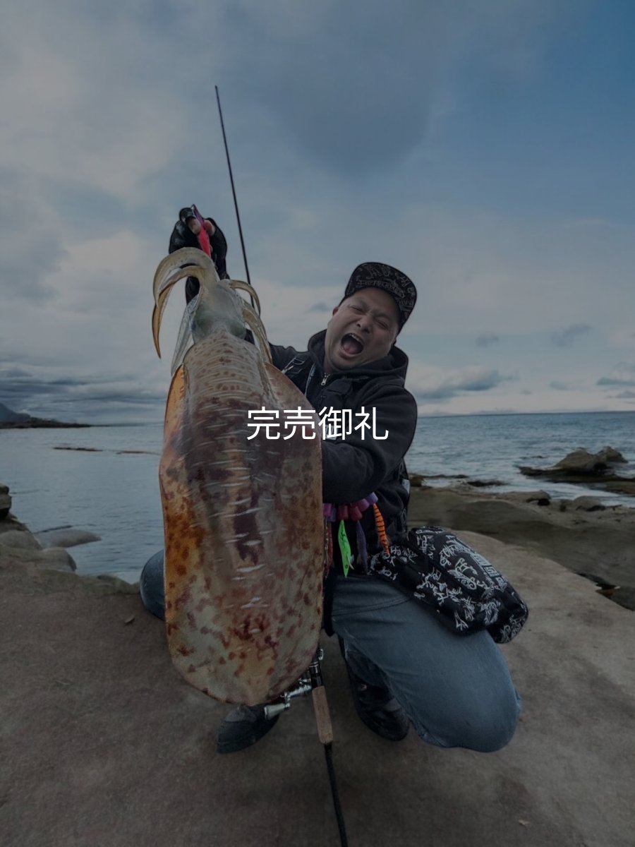 画像2: WILDCHASE 3.0号 /ピンクロビン[監修:藤本 奈浦子] (2)