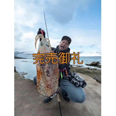 画像2: WILDCHASE 3.5号シャローtune /ピンクロビン[監修:藤本 奈浦子]