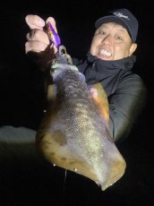 画像4: WILDCHASE 3.0号 /俺のフェニックス[監修:椿本 洋士] (4)