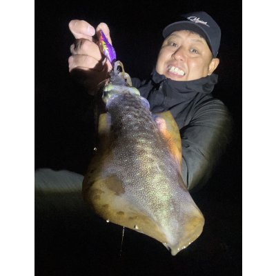 画像4: WILDCHASE 3.0号 /俺のフェニックス[監修:椿本 洋士]