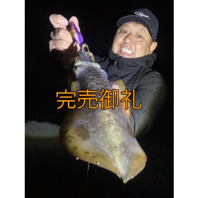 画像4: WILDCHASE 3.5号シャローtune /俺のフェニックス[監修:椿本 洋士]