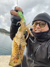 画像7: WILDCHASE 3.0号 /ピーコックＵＶ[監修:野田 広忠] (7)