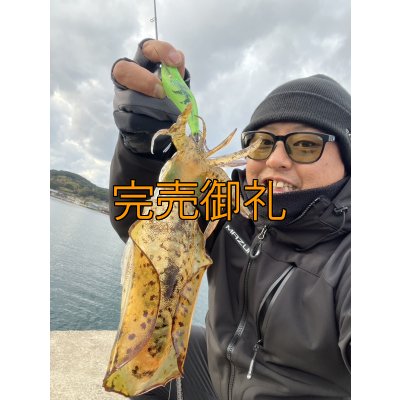 画像7: WILDCHASE 3.5号シャローtune /ピーコックＵＶ[監修:野田 広忠]