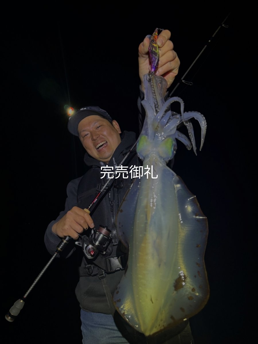画像1: WILDCHASE 3.0号 /俺のフェニックス[監修:椿本 洋士] (1)