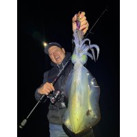 WILDCHASE 3.0号 /俺のフェニックス[監修:椿本 洋士]