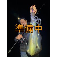 WILDCHASE 3.0号 /俺のフェニックス[監修:椿本 洋士]