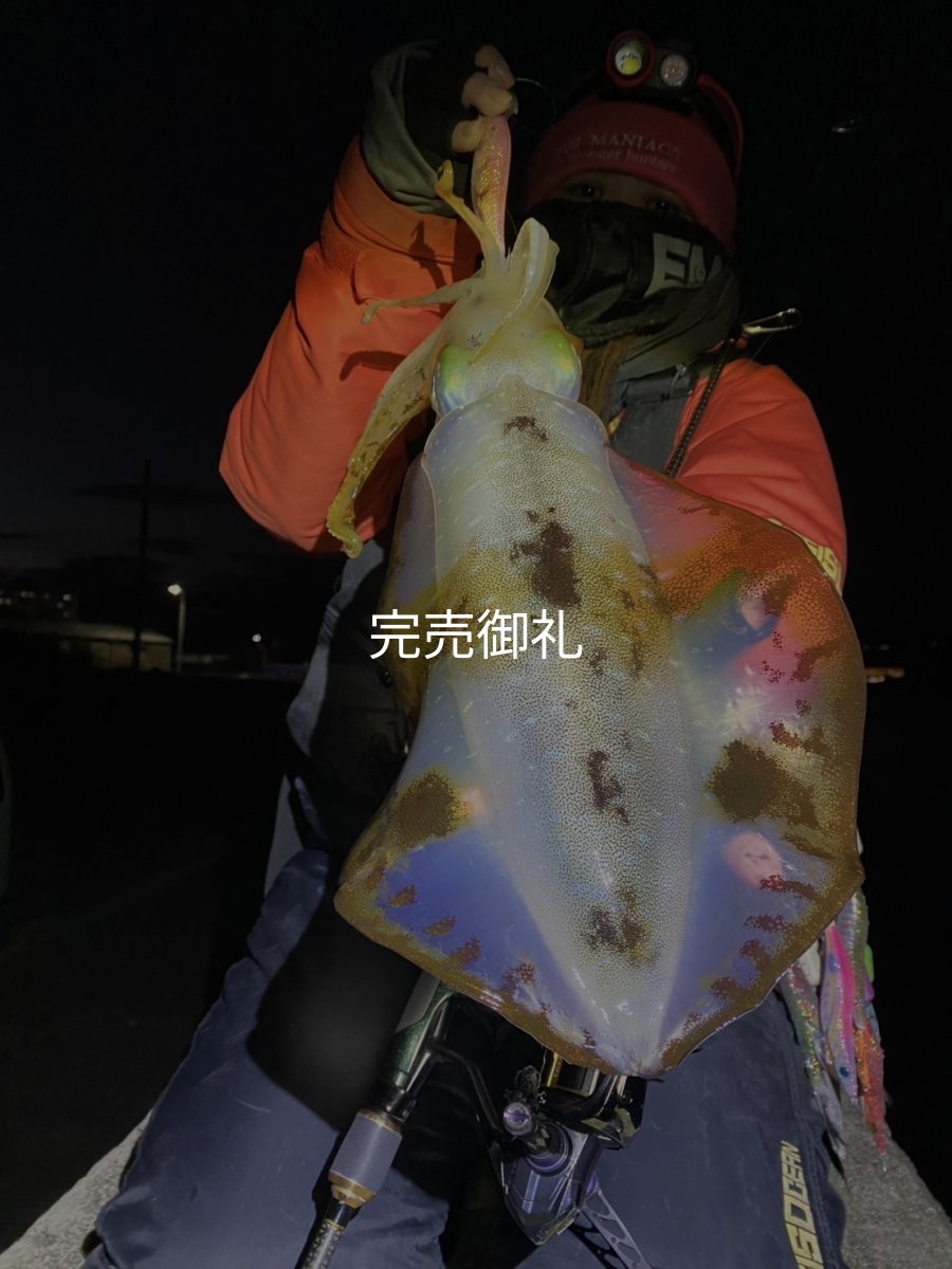 画像8: WILDCHASE 3.0号 /ピンクロビン[監修:藤本 奈浦子] (8)