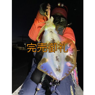 画像8: WILDCHASE 3.5号シャローtune /ピンクロビン[監修:藤本 奈浦子]