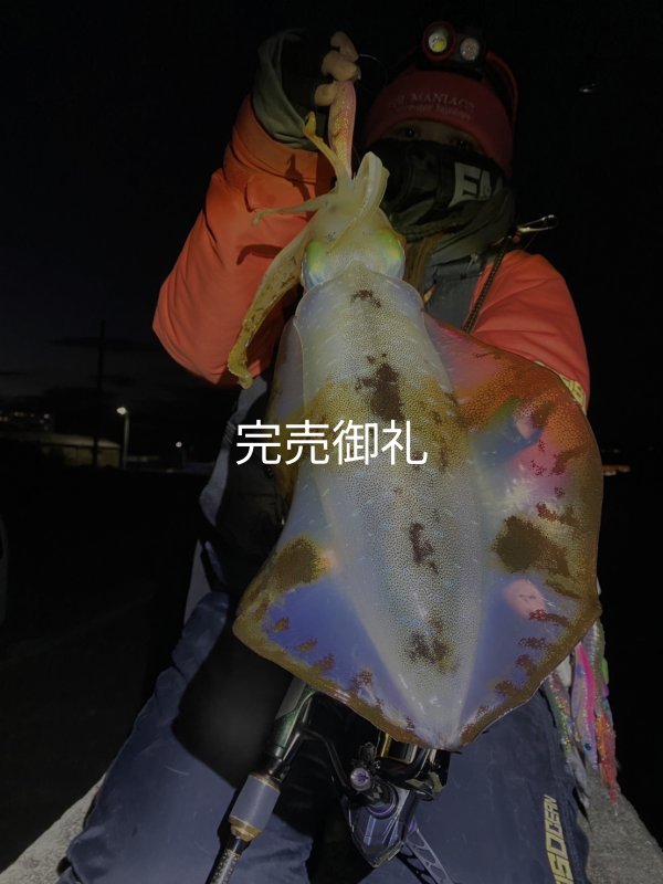 WILDCHASE 3.0号 /ピンクロビン[監修:藤本 奈浦子] - EGI MANIACS