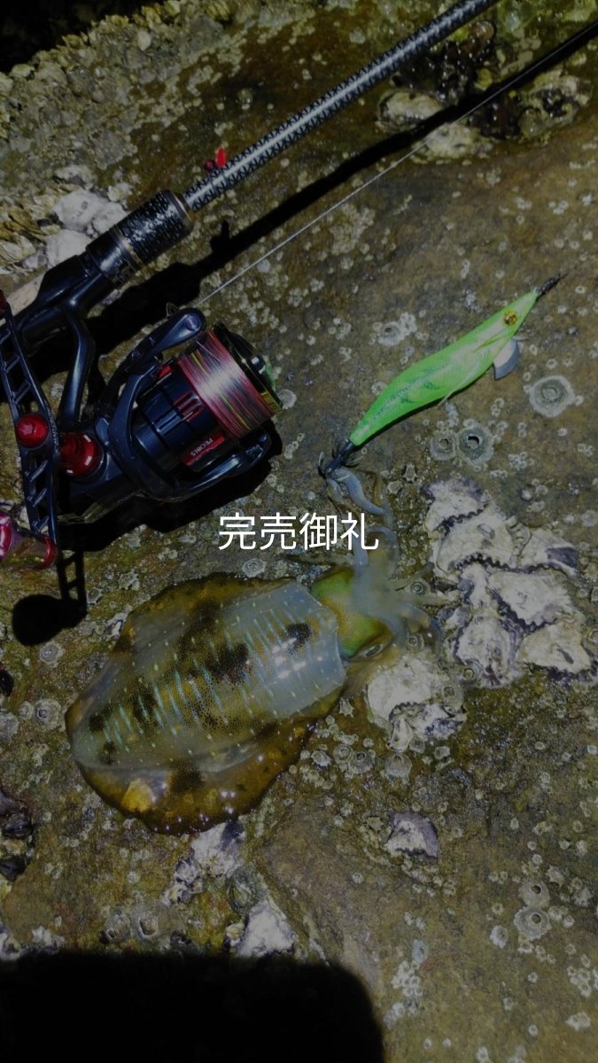 画像14: WILDCHASE 3.0号 /ピーコックＵＶ[監修:野田 広忠] (14)