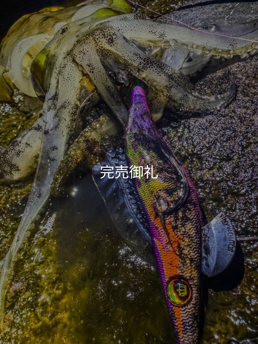 画像10: WILDCHASE 3.0号 /俺のフェニックス[監修:椿本 洋士] (10)