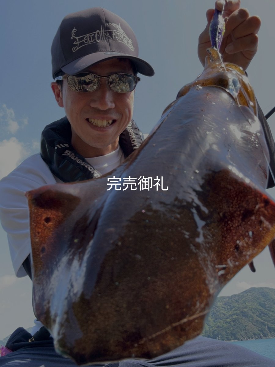 画像7: WILDCHASE 3.0号 /俺のフェニックス[監修:椿本 洋士] (7)