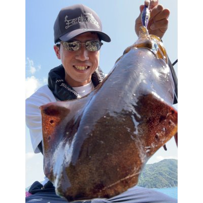 画像7: WILDCHASE 3.0号 /俺のフェニックス[監修:椿本 洋士]