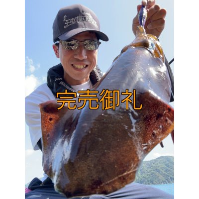 画像7: WILDCHASE 3.5号シャローtune /俺のフェニックス[監修:椿本 洋士]