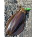 画像10: WILDCHASE 3.5号シャローtune /ピーコックＵＶ[監修:野田 広忠]