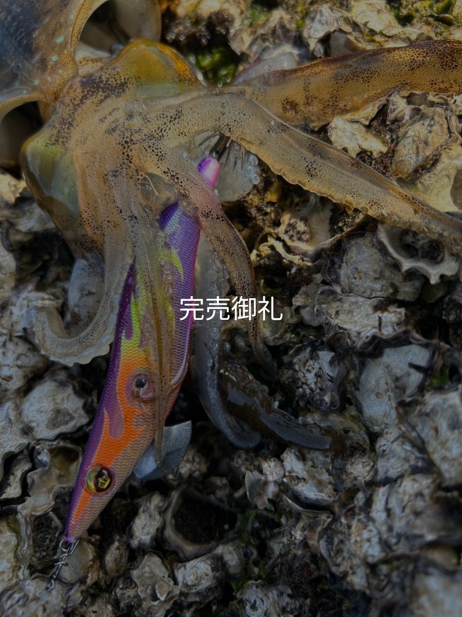 画像11: WILDCHASE 3.0号 /俺のフェニックス[監修:椿本 洋士] (11)