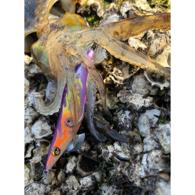 画像11: WILDCHASE 3.0号 /俺のフェニックス[監修:椿本 洋士]