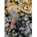画像11: WILDCHASE 3.5号シャローtune /俺のフェニックス[監修:椿本 洋士]