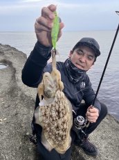 画像15: WILDCHASE 3.0号 /ピーコックＵＶ[監修:野田 広忠] (15)