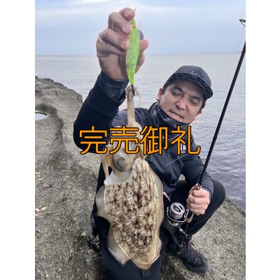 画像15: WILDCHASE 3.5号シャローtune /ピーコックＵＶ[監修:野田 広忠]