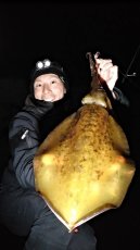 画像7: WILDCHASE 3.0号 /ピンクロビン[監修:藤本 奈浦子] (7)