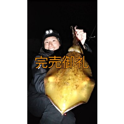 画像7: WILDCHASE 3.5号シャローtune /ピンクロビン[監修:藤本 奈浦子]