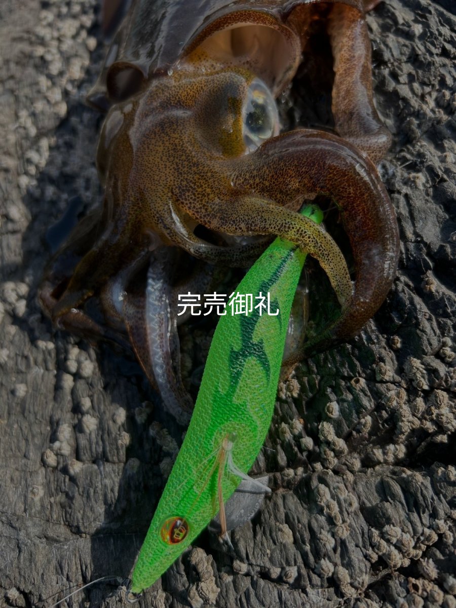 画像9: WILDCHASE 3.0号 /ピーコックＵＶ[監修:野田 広忠] (9)