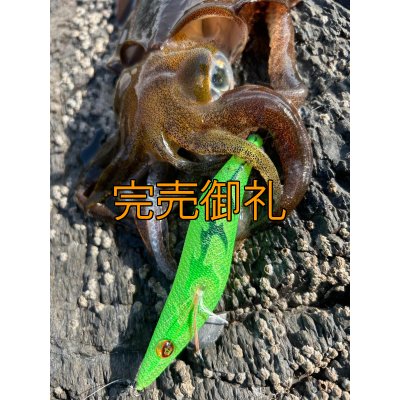 画像9: WILDCHASE 3.5号シャローtune /ピーコックＵＶ[監修:野田 広忠]