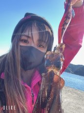 画像13: WILDCHASE 3.0号 /ピンクロビン[監修:藤本 奈浦子] (13)