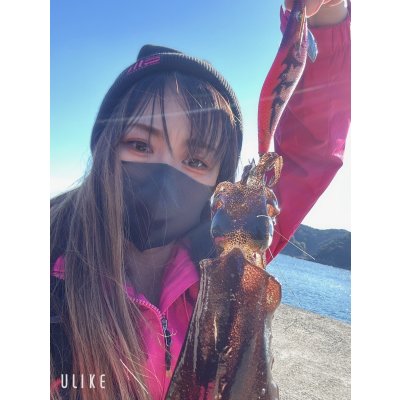 画像13: WILDCHASE 3.0号 /ピンクロビン[監修:藤本 奈浦子]