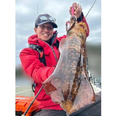 画像3: WILDCHASE 3.0号 /ピンクロビン[監修:藤本 奈浦子]