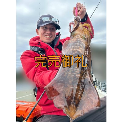 画像3: WILDCHASE 3.5号シャローtune /ピンクロビン[監修:藤本 奈浦子]