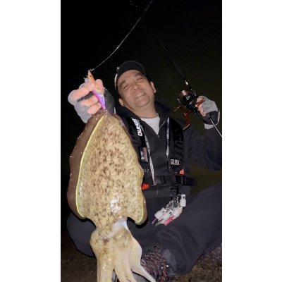 画像6: WILDCHASE 3.0号 /俺のフェニックス[監修:椿本 洋士]