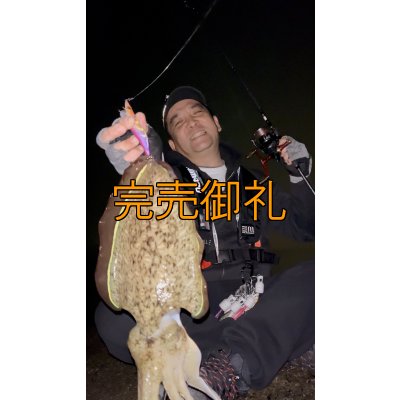 画像6: WILDCHASE 3.5号シャローtune /俺のフェニックス[監修:椿本 洋士]