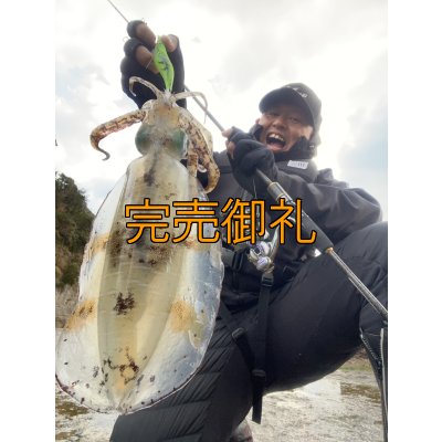 画像5: WILDCHASE 3.5号シャローtune /ピーコックＵＶ[監修:野田 広忠]