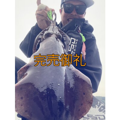 画像3: WILDCHASE 3.5号シャローtune /ピーコックＵＶ[監修:野田 広忠]