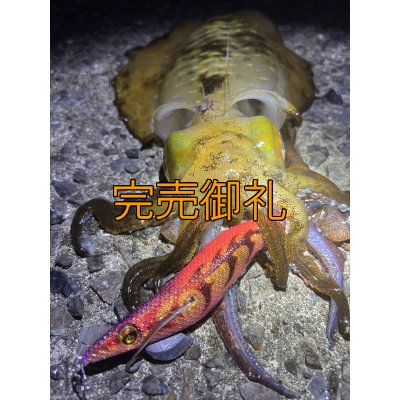 画像14: WILDCHASE 3.5号シャローtune /ピンクロビン[監修:藤本 奈浦子]