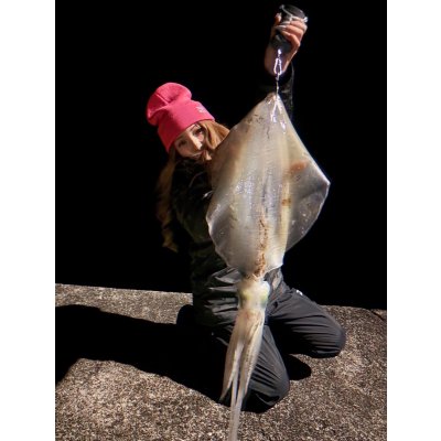 画像9: WILDCHASE 3.0号 /俺のフェニックス[監修:椿本 洋士]