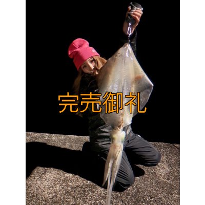 画像9: WILDCHASE 3.5号シャローtune /俺のフェニックス[監修:椿本 洋士]