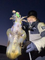 画像8: WILDCHASE 3.0号 /ピーコックＵＶ[監修:野田 広忠] (8)