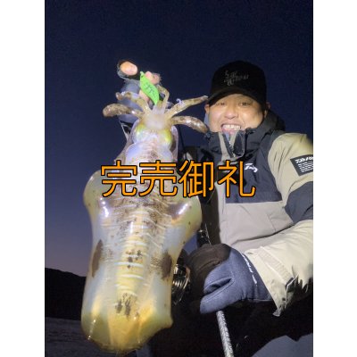 画像8: WILDCHASE 3.5号シャローtune /ピーコックＵＶ[監修:野田 広忠]