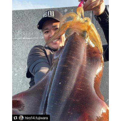 画像9: WILDCHASE 3.0号 /ピンクロビン[監修:藤本 奈浦子]