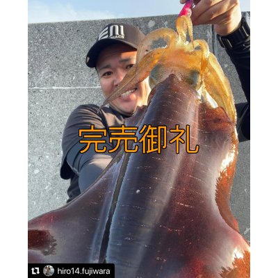 画像9: WILDCHASE 3.5号シャローtune /ピンクロビン[監修:藤本 奈浦子]