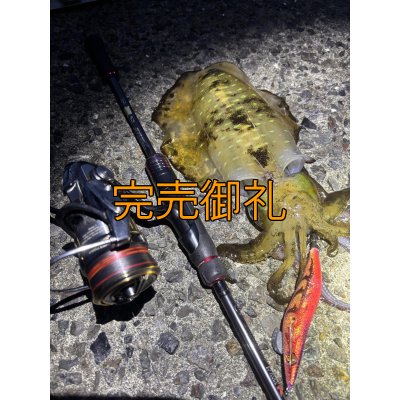 画像19: WILDCHASE 3.5号シャローtune /ピンクロビン[監修:藤本 奈浦子]