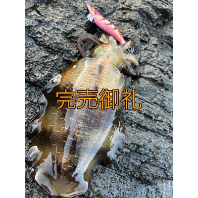 画像15: WILDCHASE 3.5号シャローtune /ピンクロビン[監修:藤本 奈浦子]