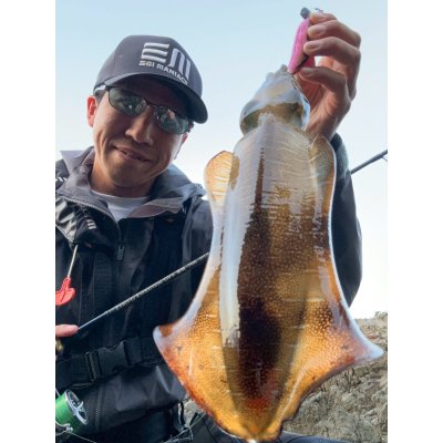 画像5: WILDCHASE 3.0号 /ピンクロビン[監修:藤本 奈浦子]