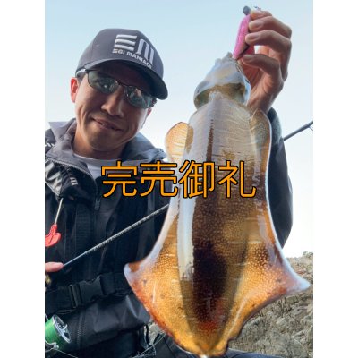 画像5: WILDCHASE 3.5号シャローtune /ピンクロビン[監修:藤本 奈浦子]