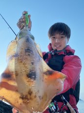画像2: WILDCHASE 3.0号 /ピーコックＵＶ[監修:野田 広忠] (2)