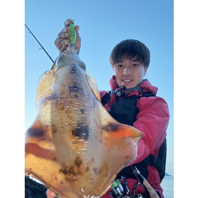 画像2: WILDCHASE 3.0号 /ピーコックＵＶ[監修:野田 広忠]